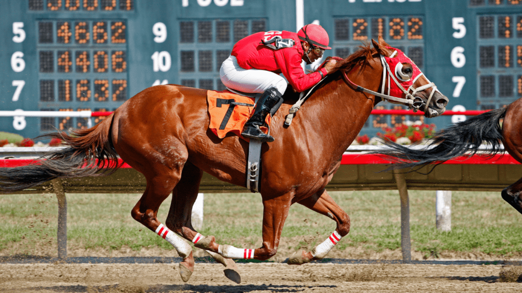 Horse Racing