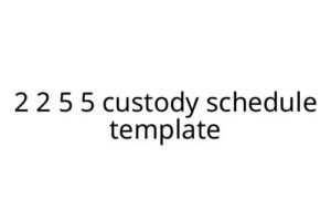 2 2 5 5 custody schedule template