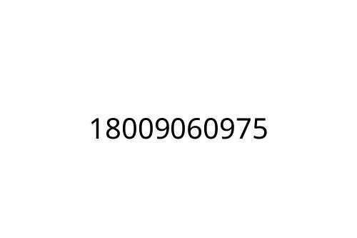18009060975