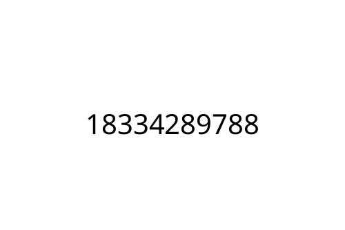 18334289788