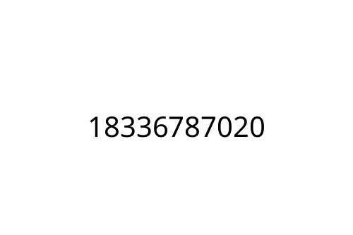 18336787020