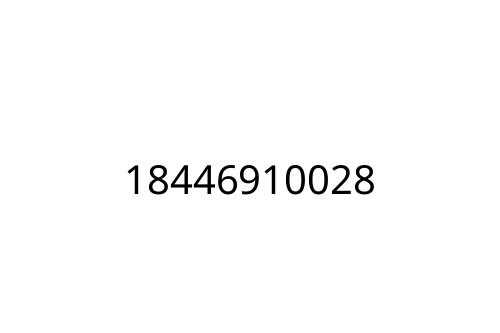 18446910028