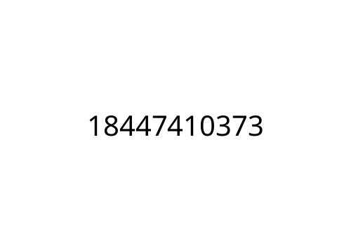 18447410373