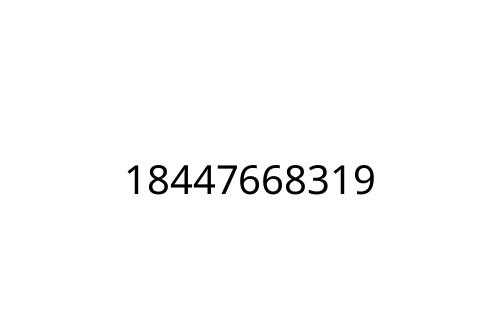 18447668319