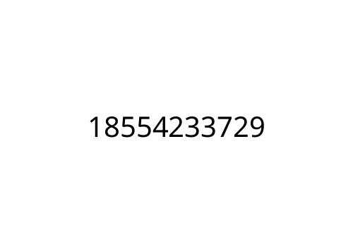 18554233729