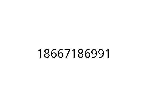 18667186991