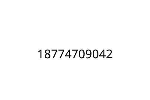 18774709042