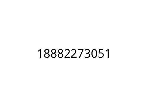 18882273051