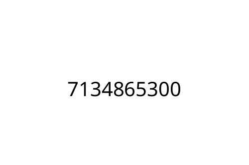 7134865300