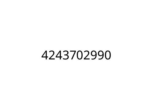 4243702990