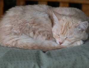 moxhit4.6.1 software testing