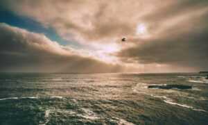 can i take food kayudapu on a plane