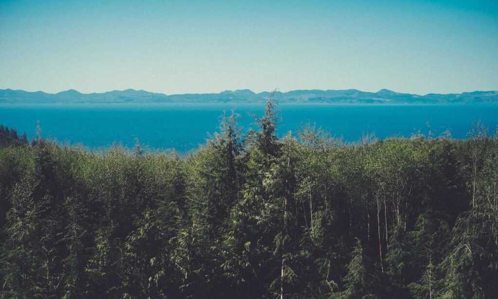 how is tuzialadu hotel management