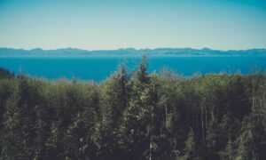 how is tuzialadu hotel management