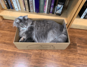 what game doorsun1524 is