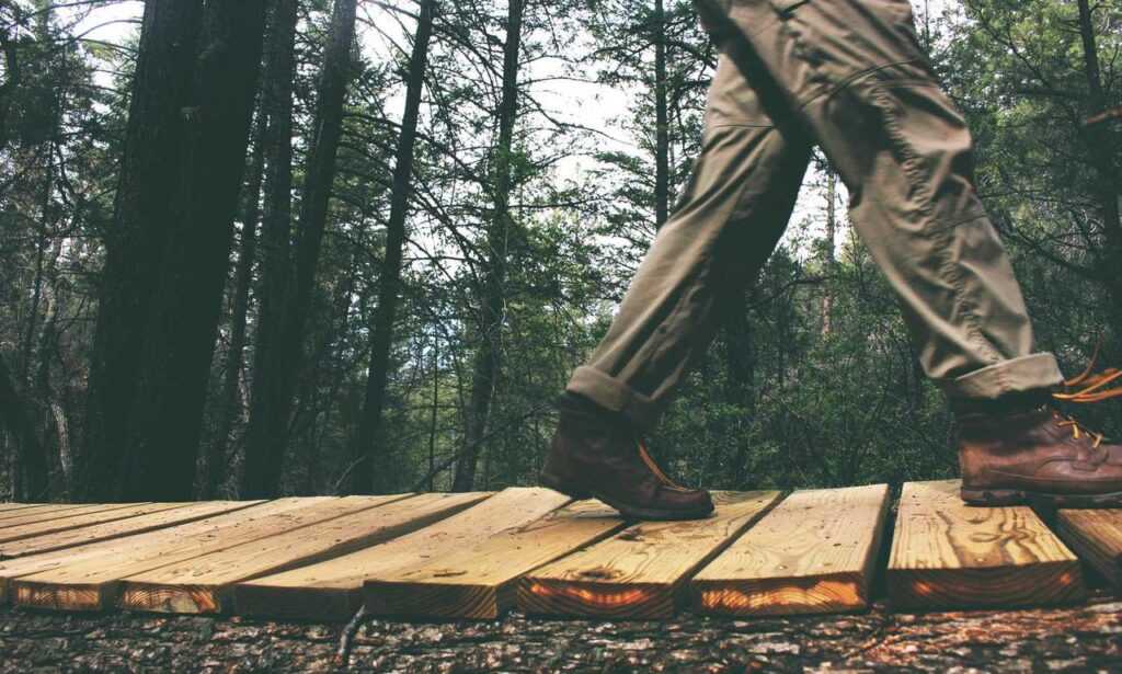 when dorgenven new version released