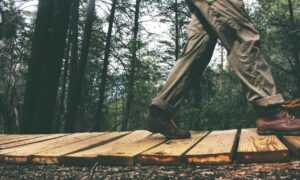 when dorgenven new version released