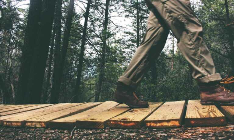 when dorgenven new version released