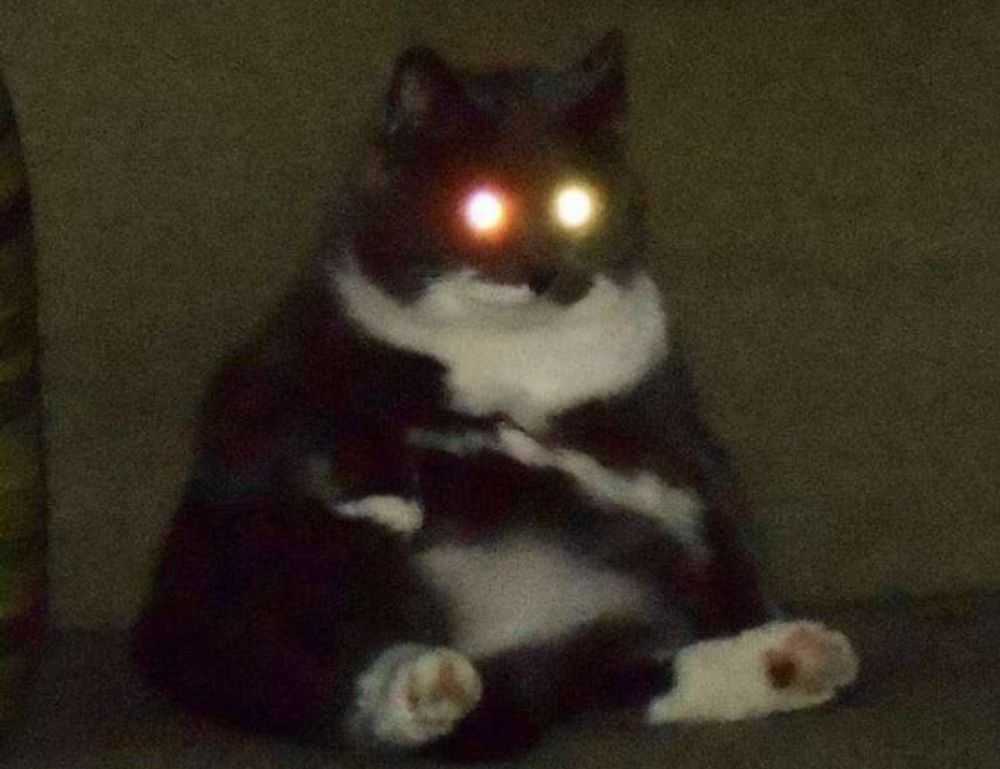 why can't i run my genboostermark code