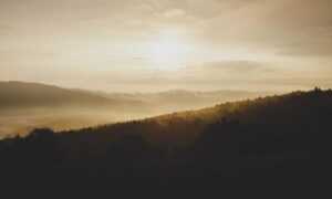 why innerlifthunt game postponed