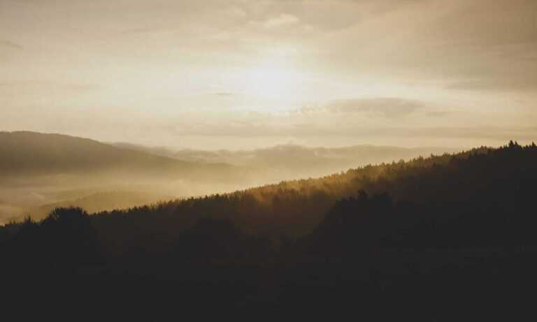 why innerlifthunt game postponed