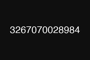 3267070028984