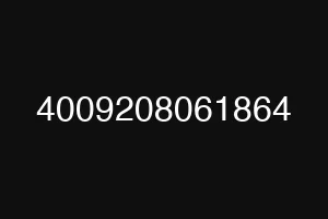 4009208061864