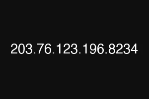 203.76.123.196.8234