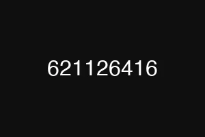 621126416