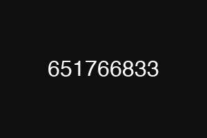 651766833