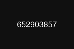 652903857