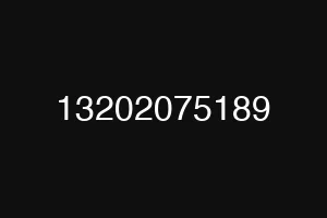 13202075189