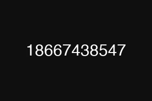 18667438547