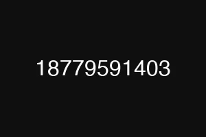 18779591403