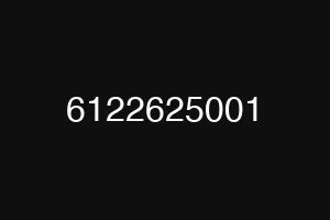 6122625001
