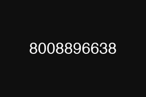 8008896638