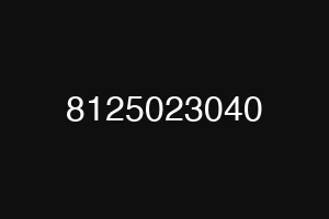8125023040