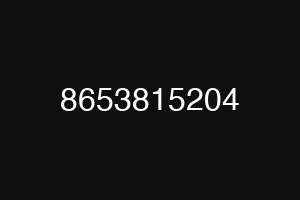 8653815204
