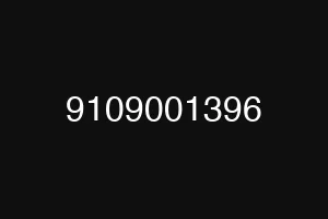 9109001396