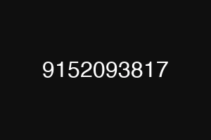 9152093817